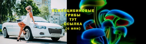 Альфа ПВП Бородино