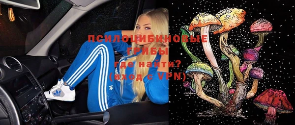 Альфа ПВП Бородино