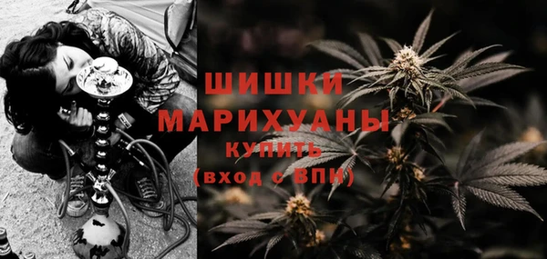 стаф Бронницы