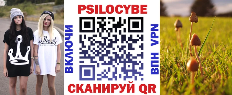 Купить где  Макарьев  Псилоцибиновые грибы Cubensis 